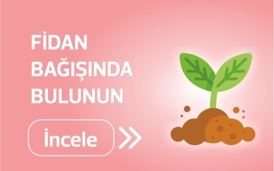 Fidan Bagışı