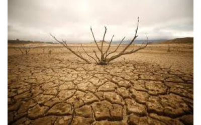 AFRİKA SİZİ BEKLİYOR